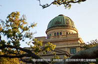 新加坡不同大學學費一樣嗎？