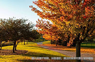 滑鐵盧大學本科計算機申請攻略