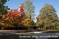 強勢專業|UBC MFRE