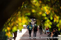 麥克馬斯特大學一年費用多少錢？