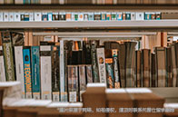 新加坡國立大學MOC項目介紹