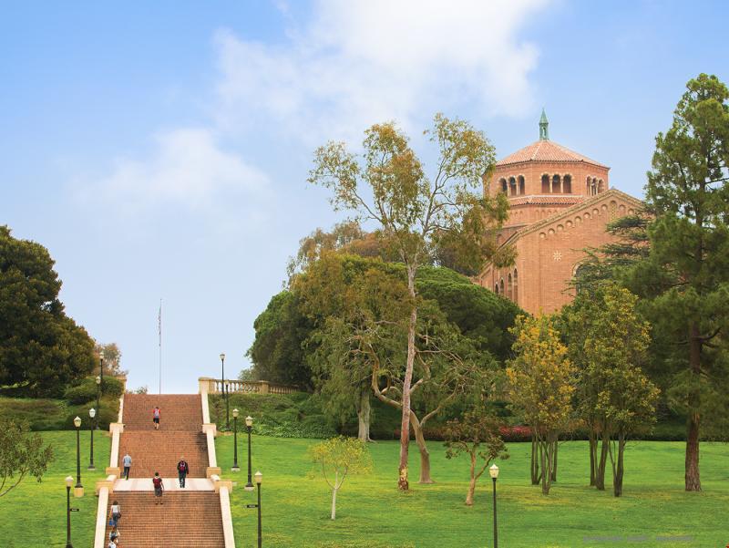 UCLA的專業.jpg