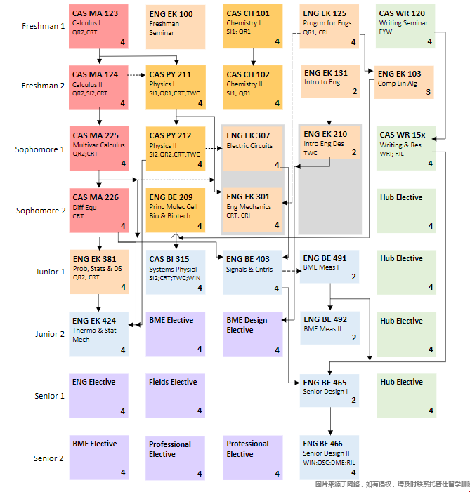 波士頓大學本科生物醫學工程專業.png