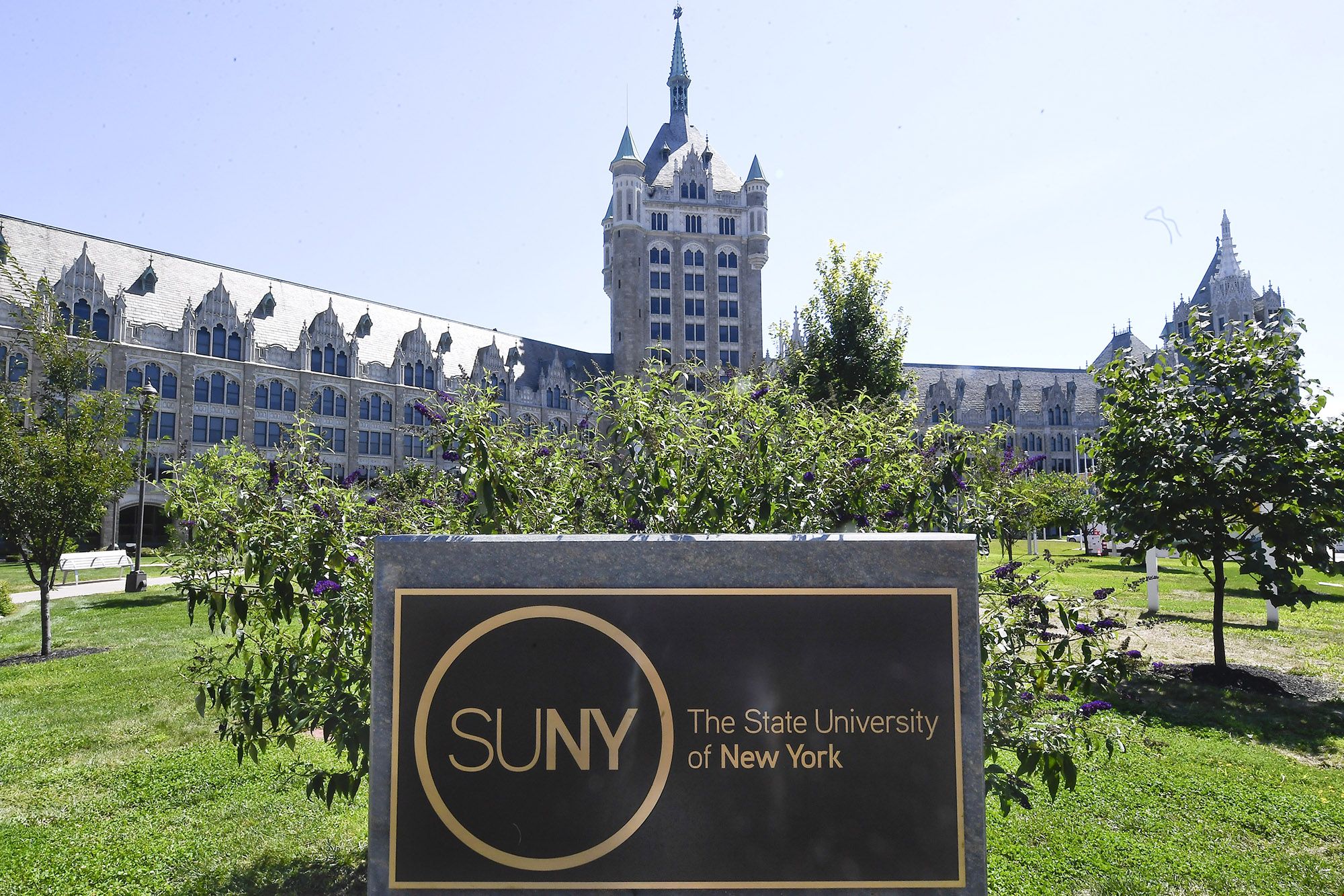 紐約州立大學.jpg 紐約州立大學.jpg