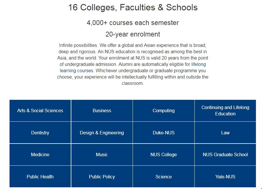 新加坡國立大學不同學院.png 新加坡國立大學不同學院.png