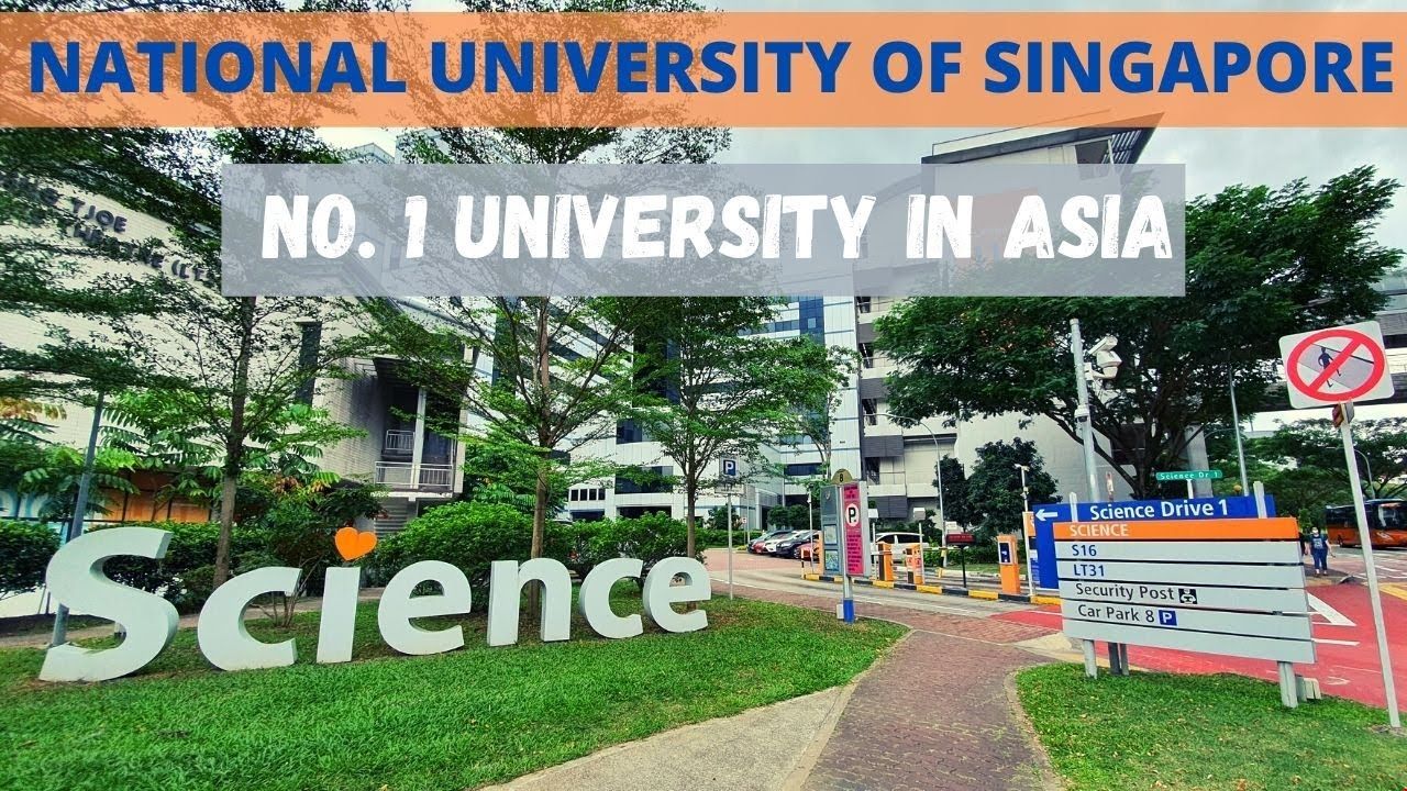 新加坡國立大學.jpg 新加坡國立大學.jpg