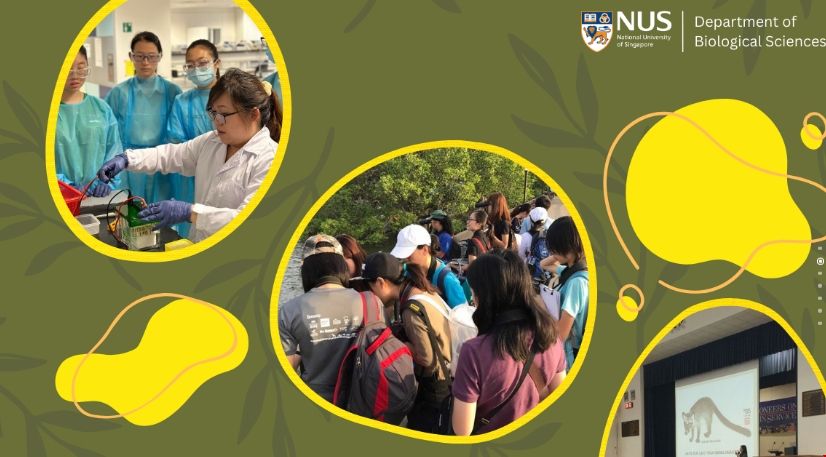 新加坡國立大學生物科學系.png
